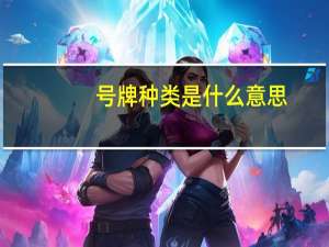 号牌种类是什么意思