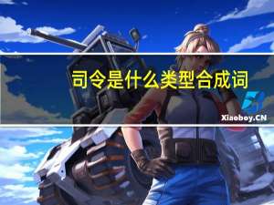 司令是什么类型合成词
