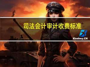 司法会计审计收费标准