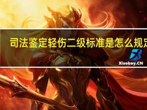 司法鉴定轻伤二级标准是怎么规定的