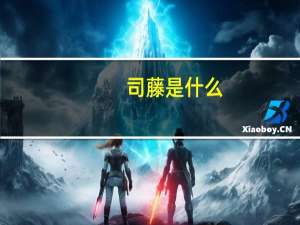 司藤是什么