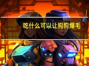 吃什么可以让狗狗爆毛