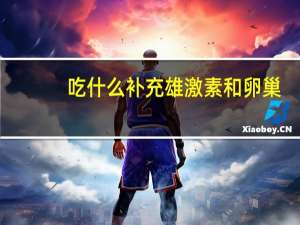吃什么补充雄激素和卵巢（吃什么补充雄性激素）
