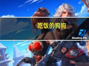 吃饭的狗狗