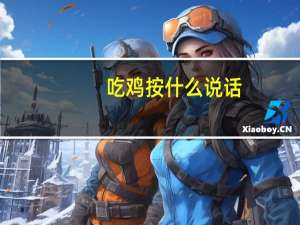 吃鸡按什么说话