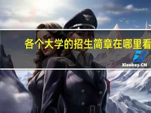 各个大学的招生简章在哪里看