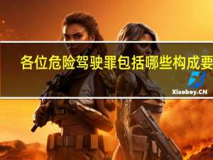 各位危险驾驶罪包括哪些构成要件