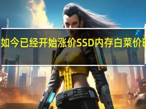 各大存储厂商如今已经开始涨价SSD内存白菜价时代马上就要过去了
