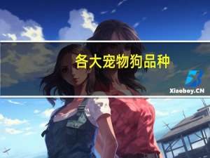 各大宠物狗品种