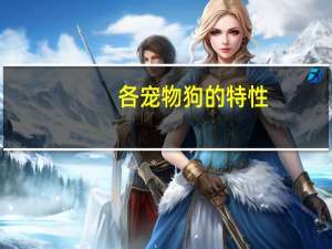 各宠物狗的特性