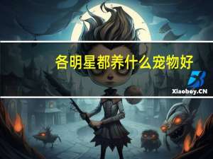 各明星都养什么宠物好