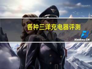 各种三洋充电器评测（三洋移动电源）