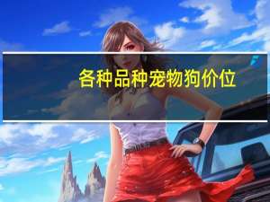 各种品种宠物狗价位