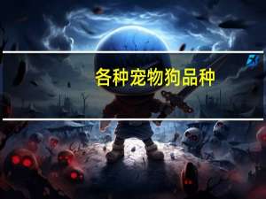 各种宠物狗品种