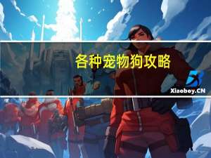 各种宠物狗攻略