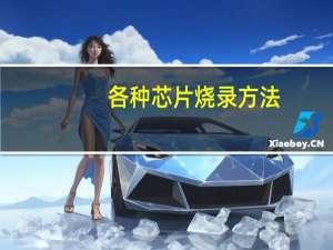 各种芯片烧录方法