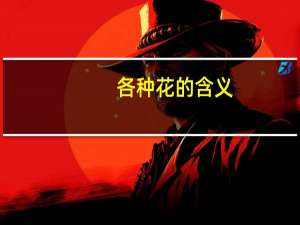 各种花的含义
