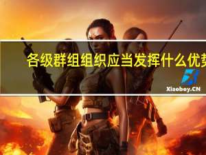 各级群组组织应当发挥什么优势