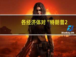 各经济体对“特朗普2.0”有何反应 全球贸易紧张升级