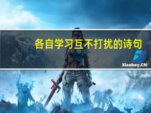 各自学习 互不打扰的诗句