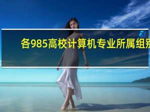 各985高校计算机专业所属组别