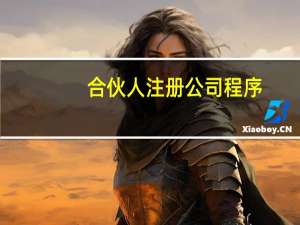 合伙人注册公司程序