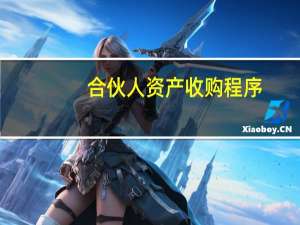 合伙人资产收购程序