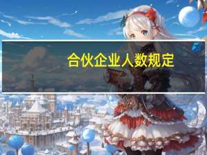 合伙企业人数规定