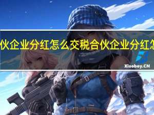 合伙企业分红怎么交税合伙企业分红怎么缴税