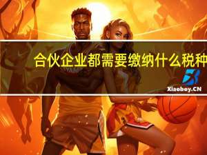 合伙企业都需要缴纳什么税种