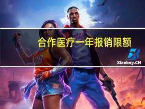 合作医疗一年报销限额