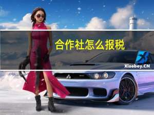 合作社怎么报税