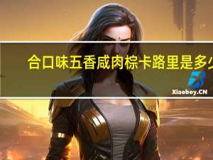合口味 五香咸肉棕卡路里是多少