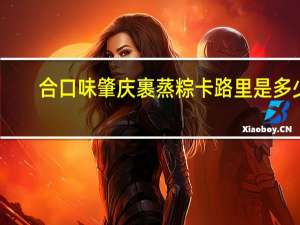 合口味 肇庆裹蒸粽卡路里是多少