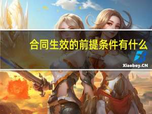 合同生效的前提条件有什么