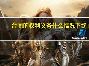 合同的权利义务什么情况下终止