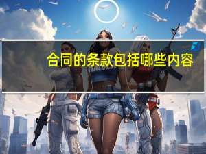 合同的条款包括哪些内容