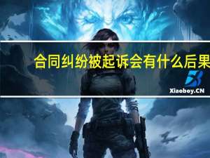 合同纠纷被起诉会有什么后果