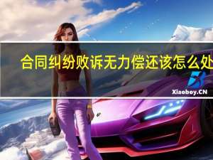 合同纠纷败诉无力偿还该怎么处理
