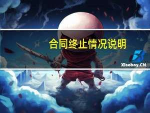合同终止情况说明