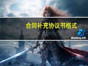 合同补充协议书格式