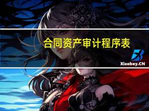 合同资产审计程序表