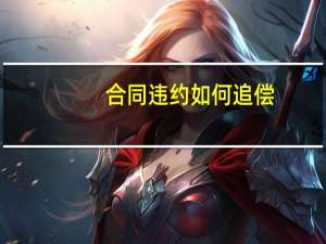 合同违约如何追偿