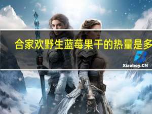 合家欢 野生蓝莓果干的热量是多少