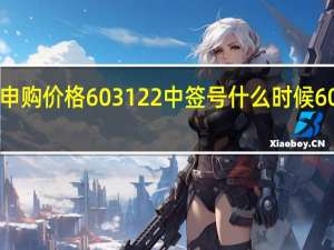 合富中国申购价格 603122中签号什么时候 603122上市日期