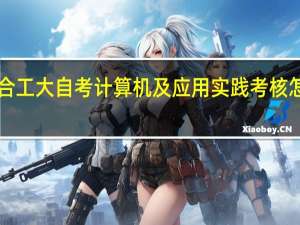合工大自考计算机及应用实践考核怎么考！