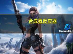 合成氨反应器（合成氨反应）