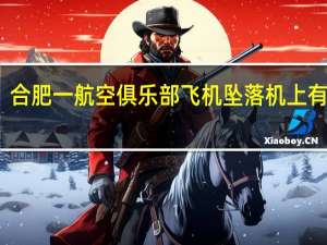 合肥一航空俱乐部飞机坠落机上有乘客？各方回应 到底什么情况嘞