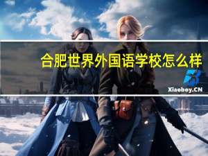 合肥世界外国语学校怎么样