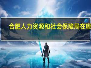 合肥人力资源和社会保障局在哪里